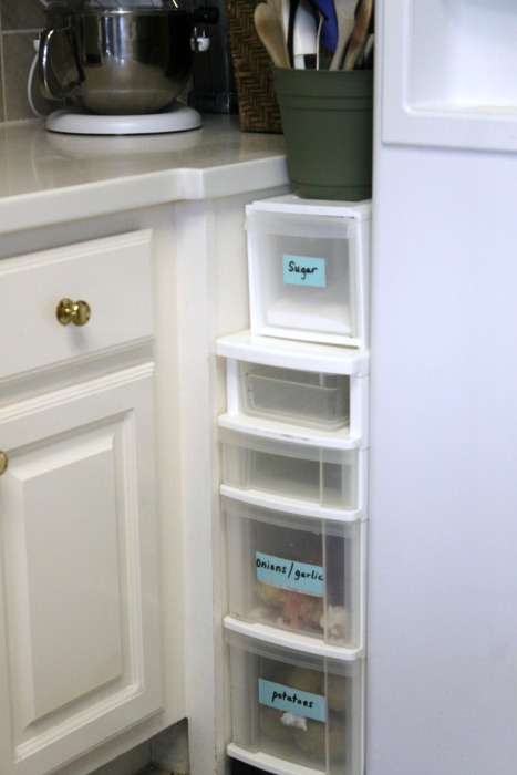 put food storage by fridge
